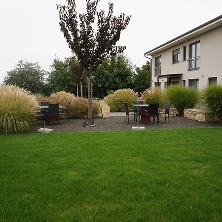 Wohnung 1 Im Kirschbluetenhof 英格海姆莱茵 外观 照片