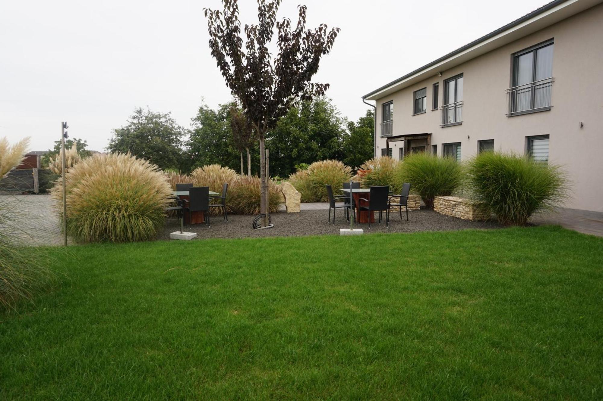 Wohnung 1 Im Kirschbluetenhof 英格海姆莱茵 外观 照片